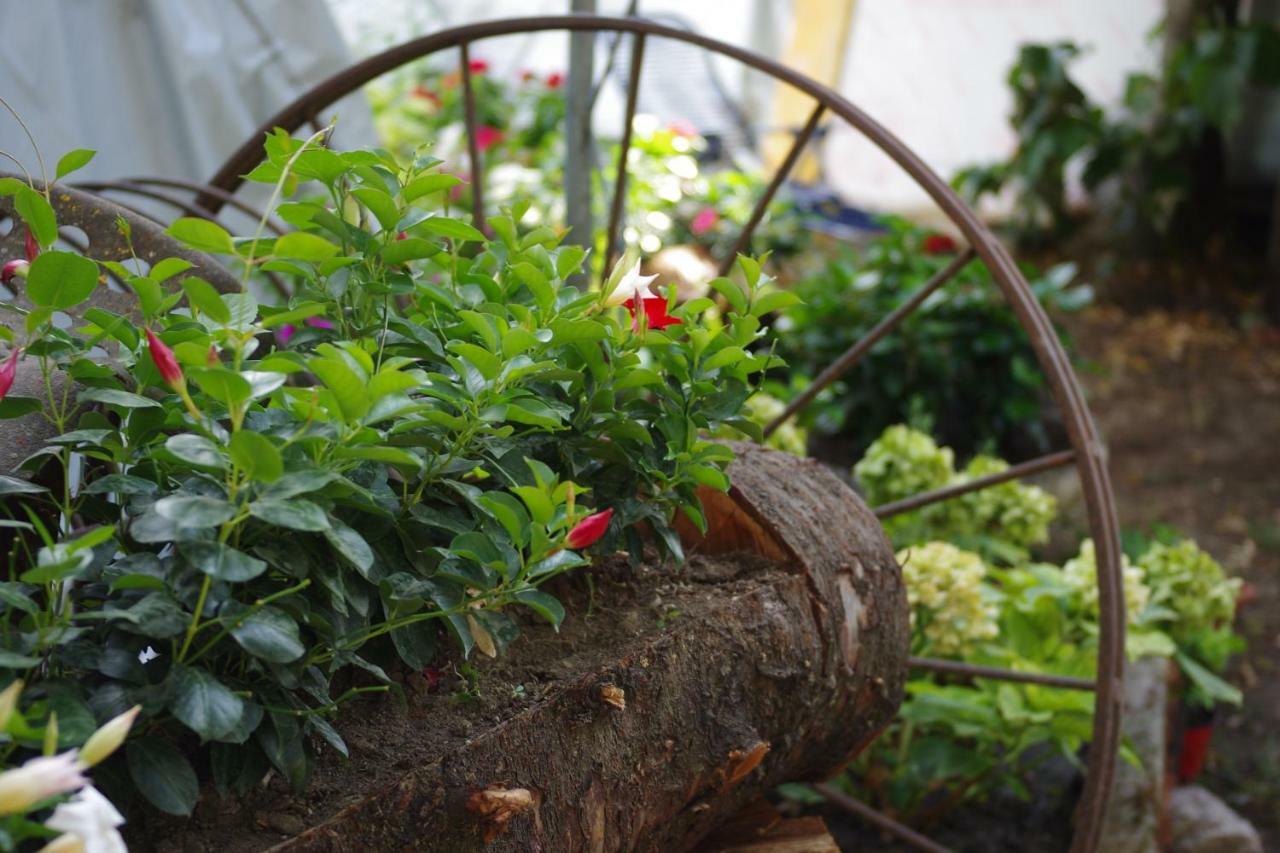 Fico Bologna 453 Bed & Breakfast Trebbo Di Reno Bagian luar foto